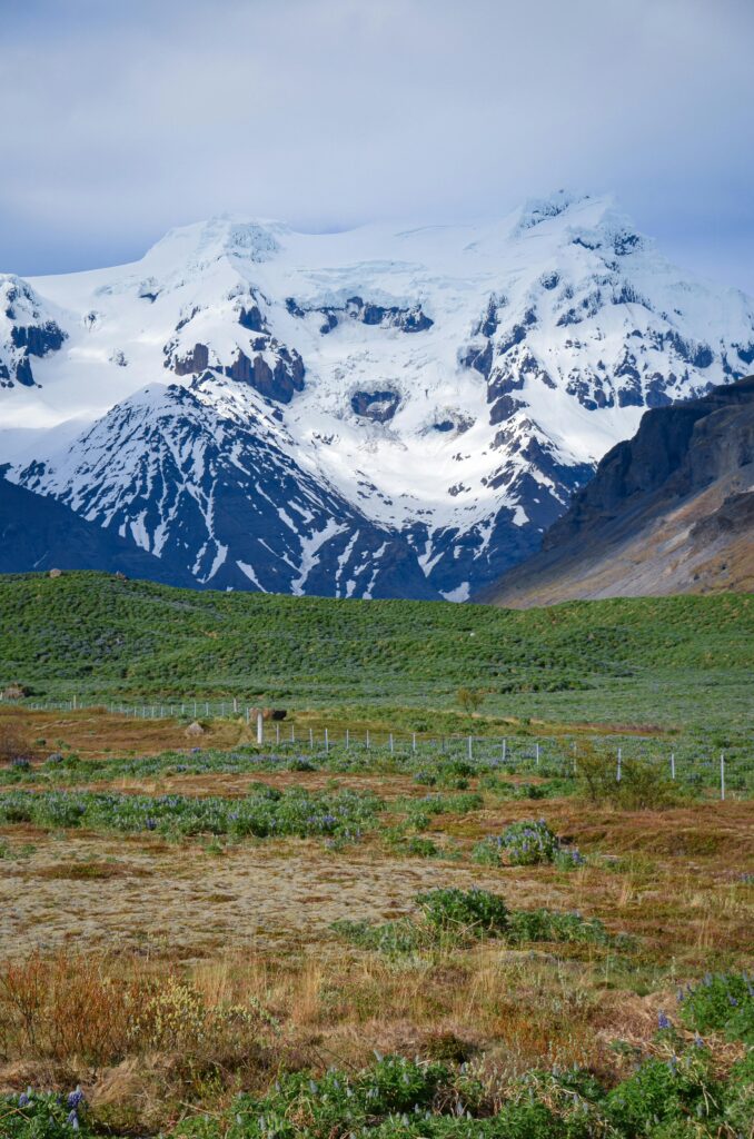 Majestic snow-capped mountain overlooking lush green fields in a serene island setting.